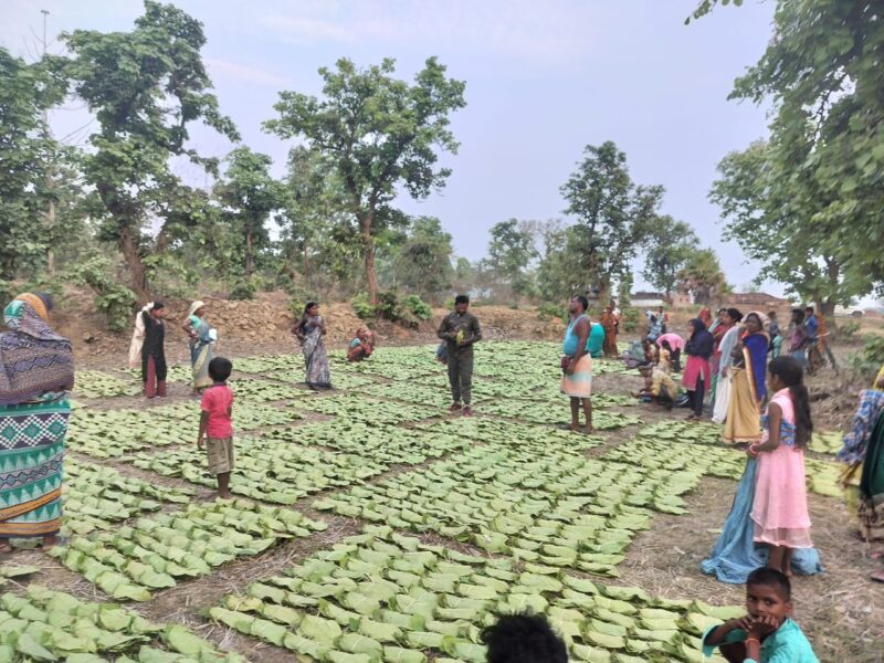 जशपुर : तेन्दूपत्ता संग्राहकों के खाते में राशि हस्तांतरण होने से ग्रामीणों में अत्यधिक हर्षाेल्लास