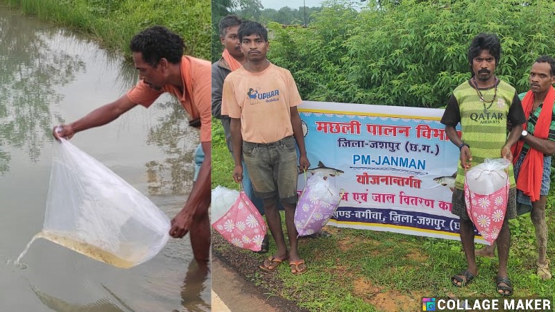 जशपुर में जनजातीय विकास का नया अध्याय : पीएम जनमन योजना से सैकड़ों परिवारों को लाभ