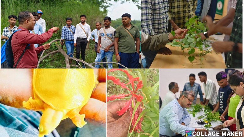 विशेष लेख : मुख्यमंत्री विष्णु देव साय के मार्गदर्शन में छत्तीसगढ़ के वन क्षेत्रों में जनजातीय युवाओं के सशक्तिकरण की अभिनव पहल