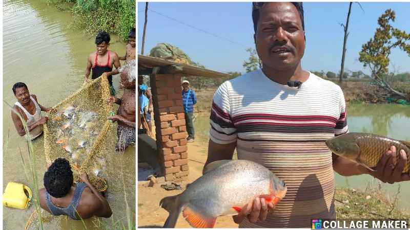 मछली पालन : किसानों के लिए नई आय का जरिया, जशपुर के जनक राम की कहानी बनी प्रेरणा