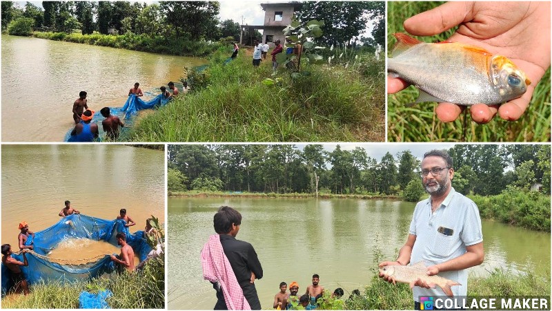 दृढ़ इच्छाशक्ति ने बदली जिंदगी : छत्तीसगढ़ के किसान अरविन्द कुमार ने बदली अपनी किस्मत! पारंपरिक खेती छोड़कर मछली पालन से कैसे कमा रहे हैं लाखों।