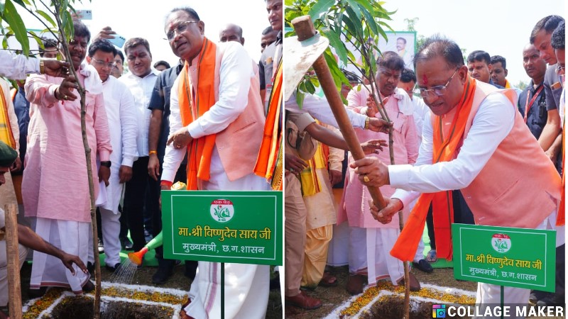 मुख्यमंत्री विष्णु देव साय ने एक पेड़ मां के नाम अभियान के अंतर्गत लगाया केसर आम का पौधा