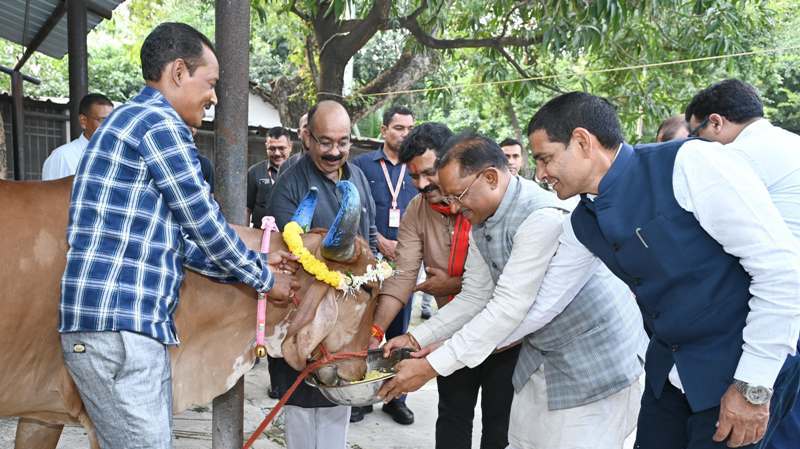 मुख्यमंत्री विष्णु देव साय ने गोवर्धन पूजा के अवसर पर की गौ वंश की पूजा-अर्चना, गौवंश को गुड़ और खिचड़ी खिलाकर व्यक्त की अपनी कृतज्ञता