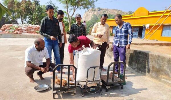 धान खरीदी के लिए 46 उपार्जन केंद्र हुए तैयार : जिले के पचास हजार से अधिक किसान विक्रय करेंगे धान…..14 नवंबर से 31 जनवरी तक होगा धान उपार्जन.