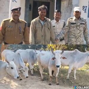 जशपुर पुलिस का ‘मिशन गौ-रक्षा’: तस्करों के चंगुल से 10 बेजुबान मुक्त, रात के अंधेरे में धर दबोचा एक आरोपी, पशु तस्करी का काला कारोबार हुआ बेनकाब!