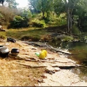 RAIGARH CRIME : घरघोड़ा पुलिस ने की घरघोड़ी जंगल के अंदर कार्यवाही…महुआ पास और अवैध शराब भट्ठी का किया सफाया.