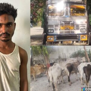 कुनकुरी हाईवे पर जशपुर पुलिस का तगड़ा एक्शन : झारखंड भेजी जा रही थी गौ-वंशों से भरी मौत की गाड़ी, जशपुर पुलिस ने बीच हाईवे पर दबोचा गौ-तस्कर सरफराज को, गिरफ्तार कर भेजा गया न्यायिक अभिरक्षा में.