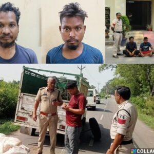 सड़क हादसे में खुला तस्करी का काला सच : ठूंसे गए मवेशी, गले में बंधी रस्सी, तस्करी के खौफनाक तरीके पर रायगढ़ पुलिस की बड़ी कार्रवाई, पकड़े गए छः मवेशी के साथ ओड़िशा के दो मवेशी तस्कर.