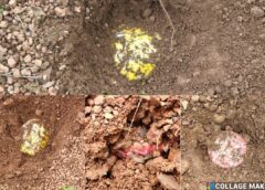 नक्सली साजिश नाकाम : Blast से पहले ही पुलिस-आईटीबीपी की जबरदस्त कार्रवाई, 5 शक्तिशाली आईईडी नाकाम, कोडनार-धुरबेड़ा के जंगल में 5 बम बरामद, मौके पर किये गए नष्ट.