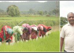 समय पर मिला खाद, खिल उठी उम्मीदें, संतोष की मेहनत में भरेंगे रंग, कोरकोमा के संतोष के खेतों में लहलहाएगी उम्मीदों की धान