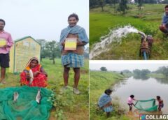 सफलता की कहानी : किशोरी अमृत सरोवर बना खुशहाली का स्रोत, 20 साल पुराने तालाब का कायाकल्प,  सिंचाई और मछलीपालन से बदल रही है ग्रामीणों की जिंदगी