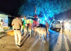 घरघोड़ा पुलिस की बड़ी कार्रवाई : रात में ‘डेथ ज़ोन’ बनी सड़कों पर अब दिखेगी रोशनी ! हादसों पर लगेगी लगाम ! अब सड़क पर टकराने से पहले ही दिखेंगे मवेशी, घरघोड़ा पुलिस ने चलाया अनोखा रेडियम कॉलर अभियान.