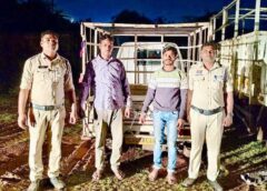 चोरी की बड़ी वारदात का खुलासा : तीन लाख रुपए की चोरी का पर्दाफाश ! पुलिस ने गैस कटर से चोरी की एम.एस. प्लेट के साथ दो आरोपियों को दबोचा, थाना तिल्दा नेवरा पुलिस की त्वरित कार्रवाई ने पकड़े आरोपी, की गई कार्यवाही.