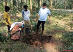 जशपुर के मनोरा में पेड़ों की तस्करी की साजिश नाकाम! 150 साल वृक्षों की गर्डलिंग कर नुकसान पहुंचाने की कोशिश, वन विभाग की त्वरित कार्रवाई से बची हरियाली