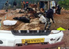 рдСрдкрд░реЗрд╢рди рд╢рдВрдЦрдирд╛рдж рдХрд╛ рдЕрд╕рд░ : рд▓реЛрд░реЛ рдШрд╛рдЯ рд╕реЗ рдХреБрдирдХреБрд░реА рддрдХ рдкреБрд▓рд┐рд╕ рдХрд╛ рдПрдХреНрд╢рди, рдкреБрд▓рд┐рд╕ рдиреЗ рдХрд┐рдпрд╛ рдЧреМ рддрд╕реНрдХрд░реА рдХрд╛ рднрдВрдбрд╛рдлреЛрдбрд╝, рджреЛ рдкрд┐рдХ-рдЕрдк рд╕реЗ 26 рдЧреМ-рд╡рдВрд╢ рдореБрдХреНрдд, рдЭрд╛рд░рдЦрдВрдб рд▓реЗ рдЬрд╛рдП рдЬрд╛ рд░рд╣реЗ рдЧреМ-рд╡рдВрд╢реЛрдВ рдХреЛ рдЬрд╢рдкреБрд░ рдкреБрд▓рд┐рд╕ рдиреЗ рдмрдЪрд╛рдпрд╛.