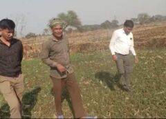 धान से हटकर समृद्धि की राह: जेवरा के किसान दिलीप सिन्हा ने दलहन-तिलहन से कमाए 25 लाख रुपये