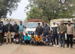 झारखंड तक फैला मवेशी चोरी का नेटवर्क : रात के अंधेरे में गायों की तस्करी ! 3 पिक-अप के साथ मवेशी चोर गिरोह पकड़ा गया, अंबिकापुर पुलिस ने सात आरोपियों को न्यायिक रिमाण्ड पर न्यायालय में किया पेश.