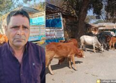 मवेशी तस्करों पर ‘शंखनाद’ : महाशिवरात्रि पर तस्करी की साजिश नाकाम ! पुलिस का लगातार दूसरा बड़ा प्रहार, रायगढ़ में पैदल हांक कर ले जाए जा रहे 6 गौ-वंश छुड़ाए, गिरफ्तार कर भेजा गया न्यायिक रिमांड पर.