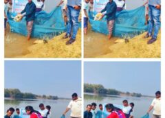 जशपुर में एनीकट्स बने आत्मनिर्भरता का आधार—मछली पालन विभाग द्वारा विभिन्न एनीकट्स में मत्स्य बीज संचयन, मछुआ समुदाय की आय और पोषण स्तर में होगा उल्लेखनीय सुधार