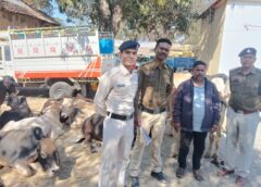 ‘ऑपरेशन शंखनाद’ से मचा हड़कंप : क्रूरता की हदें पार ! भूखे-प्यासे दौड़ाए जा रहे 32 गौ-वंश पुलिस ने छुड़ाए, कुख्यात मवेशी तस्कर रब्बुल खान गिरफ्तार, भेजा गया न्यायिक अभिरक्षा में जेल.