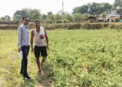 राष्ट्रीय बागवानी मिशन से बदली तस्वीर: जशपुर के किसान ने उन्नत तकनीक से टमाटर की खेती कर कमाए 55 हजार से अधिक का शुद्ध लाभ