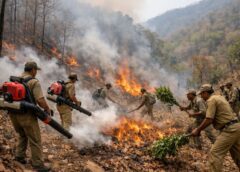 किनकेल घाटी के आरक्षित वन में लगी आग पर वन विभाग की त्वरित कार्रवाई, फायर ब्लोअर मशीन से पाया काबू, बड़ी वन संपदा सुरक्षित