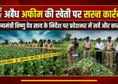अवैध अफीम की खेती पर सख्त कार्रवाई: मुख्यमंत्री विष्णु देव साय के निर्देश पर पूरे प्रदेश में सर्वे के आदेश, दुर्ग और बलरामपुर में करोड़ों की अफीम जब्त, आरोपियों की गिरफ्तारी