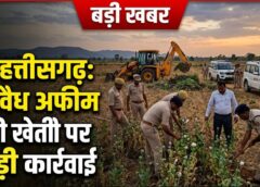 बलरामपुर में 2 एकड़ से ज्यादा भूमि पर अफीम की अवैध खेती का खुलासा: प्रशासन-पुलिस की संयुक्त छापेमारी, एनडीपीएस एक्ट के तहत होगी कड़ी कार्रवाई