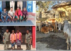 ‘ऑपरेशन शंखनाद’ से थर्राया तस्करी गिरोह: रायगढ़ में पुलिस का ताबड़तोड़ एक्शन, 7 मवेशी तस्कर गिरफ्तार, 18 गौवंश क्रूरता से मुक्त; दो पिकअप जब्त, शशि मोहन सिंह का ऐलान—गौ तस्करी पर जीरो टॉलरेंस