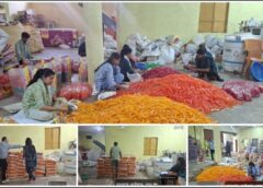 जशपुर में खाद्य सुरक्षा विभाग का बड़ा एक्शन: आईस फैक्ट्री पर छापा, 2000 किलो संदिग्ध आईस कैण्डी जब्त—बच्चों की सेहत से खिलवाड़ पर सख्ती