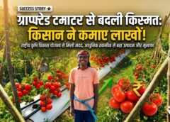 आधुनिक खेती से बदली किस्मत: दुबेलाल कोसरे ने ग्राफ्टेड टमाटर से कमाया लाखों का मुनाफा—राष्ट्रीय कृषि विकास योजना बनी आय बढ़ाने की मजबूत राह