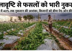 बेमौसम बारिश और ओलावृष्टि से जशपुर में फसलों पर कहर, 40% तक नुकसान की आशंका—किसानों को बीमा ‘ऐड-ऑन’ लेने की सलाह