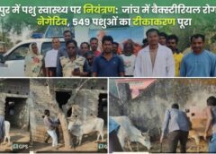 जशपुर में मवेशियों की रहस्यमयी बीमारी पर बड़ा अपडेट: जांच में बैक्टीरियल संक्रमण नेगेटिव, त्वरित टीकाकरण से हालात काबू में—प्रशासन की सतर्क निगरानी जारी