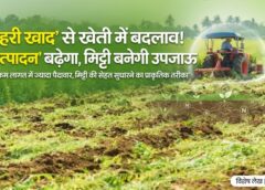 खेती में नई हरित क्रांति की दस्तक: हरी खाद से 20% तक बढ़ेगा उत्पादन, मिट्टी की सेहत सुधरेगी और किसानों की लागत होगी कम