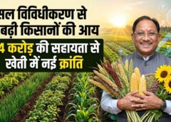 कृषक उन्नति योजना से मजबूत हो रही खेती: दलहन-तिलहन और मोटे अनाज की ओर बढ़े किसान, 25 लाख किसानों को 12 हजार करोड़ की सहायता से आत्मनिर्भरता की नई राह