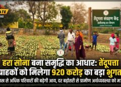 हरा सोना बना समृद्धि का आधार: वन मंत्री केदार कश्यप की पहल से तेंदूपत्ता दर में ऐतिहासिक बढ़ोतरी—13 लाख संग्राहक परिवारों को मिलेगा 920 करोड़ का लाभ, आदिवासी अर्थव्यवस्था को नई ताकत