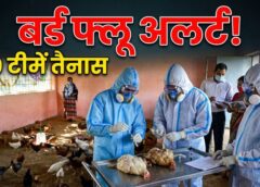 जशपुर में बर्ड फ्लू अलर्ट: जिलेभर में 9 रेपिड रिस्पॉन्स टीम गठित, प्रशासन सतर्क