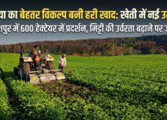 यूरिया का सशक्त विकल्प बनी हरी खाद: जशपुर में 600 हेक्टेयर में प्रयोग, मिट्टी की उर्वरता बढ़ाने और लागत घटाने की दिशा में बड़ा कदम