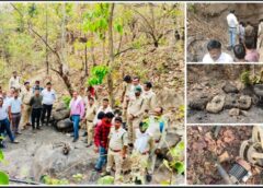 देवखोल जंगल में अवैध खनन पर बड़ा प्रहार: प्रशासन की संयुक्त टीम ने सुरंगों में घुसकर की कार्रवाई, 6 टन से अधिक कोयला जब्त—माफिया पर कसा शिकंजा