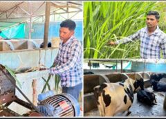 मजदूरी से ‘मल्टी-फार्मिंग’ तक: दंतेवाड़ा के ललित यादव ने 6 गायों से शुरू किया सफर, आज 25 उन्नत पशुओं के साथ लिख रहे ‘श्वेत क्रांति’ की नई कहानी—दूध, पनीर और जैविक खाद से बन गए आत्मनिर्भरता के प्रतीक
