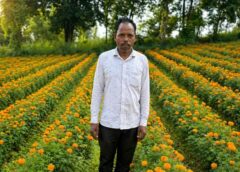 फूलों की खुशबू से बदली तकदीर: रायगढ़ के किसान ईश्वरचरण पैकरा ने गेंदा खेती से कम लागत में कमाए लाखों—धान छोड़ अपनाई नई राह, बने गांव के लिए मिसाल