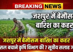 जशपुर में बेमौसम बारिश का कहर : खेतों में जलभराव से बढ़ा फसल नुकसान का खतरा, कृषि विभाग ने किसानों के लिए जारी की 7 सूत्रीय एडवाइजरी