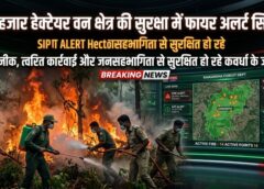 विशेष लेख : 25 हजार हेक्टेयर वन क्षेत्र की सुरक्षा में ‘फायर अलर्ट सिस्टम’ बना मजबूत सुरक्षा कवच