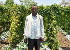सफलता की इबारत: वाटरशेड योजना ने बदली किसान छबी लाल की तकदीर, बंजर होती उम्मीदों में घुली खुशहाली की हरियाली