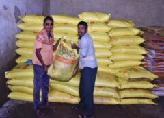 खरीफ में धान सहित दलहन-तिलहन फसलों में परम्परागत खाद के साथ वैकल्पिक खाद एवं नैनो यूरिया व डीएपी के उपयोग को दिया जा रहा बढ़ावा