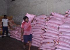 बदलती खेती में नैनो यूरिया और नैनो डीएपी बन रहे किसानों की नई पसंद
