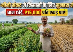 एल-नीनो का अलर्ट: धान छोड़ें, दलहन-तिलहन अपनाएं, मिलेगा ₹15 हजार प्रति एकड़ प्रोत्साहन