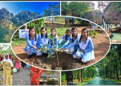 विशेष लेख : विश्व पर्यावरण दिवस 2026 ; हरित विकास, जल संरक्षण और जनभागीदारी से पर्यावरणीय समृद्धि की ओर बढ़ता छत्तीसगढ़