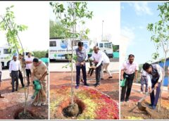 पौधारोपण से दिया हरित विकास का संदेश: पर्यावरण दिवस पर ओपी चौधरी ने नागरिकों से अधिक से अधिक वृक्ष लगाने और प्राकृतिक संसाधनों के संरक्षण में भागीदारी की अपील की