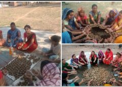जशपुर में हरित क्रांति की अनोखी पहल: ग्रामीणों और महिलाओं ने तैयार किए 80 हजार सीड बॉल, मानसून में बंजर भूमि को बनाया जाएगा हरा-भरा